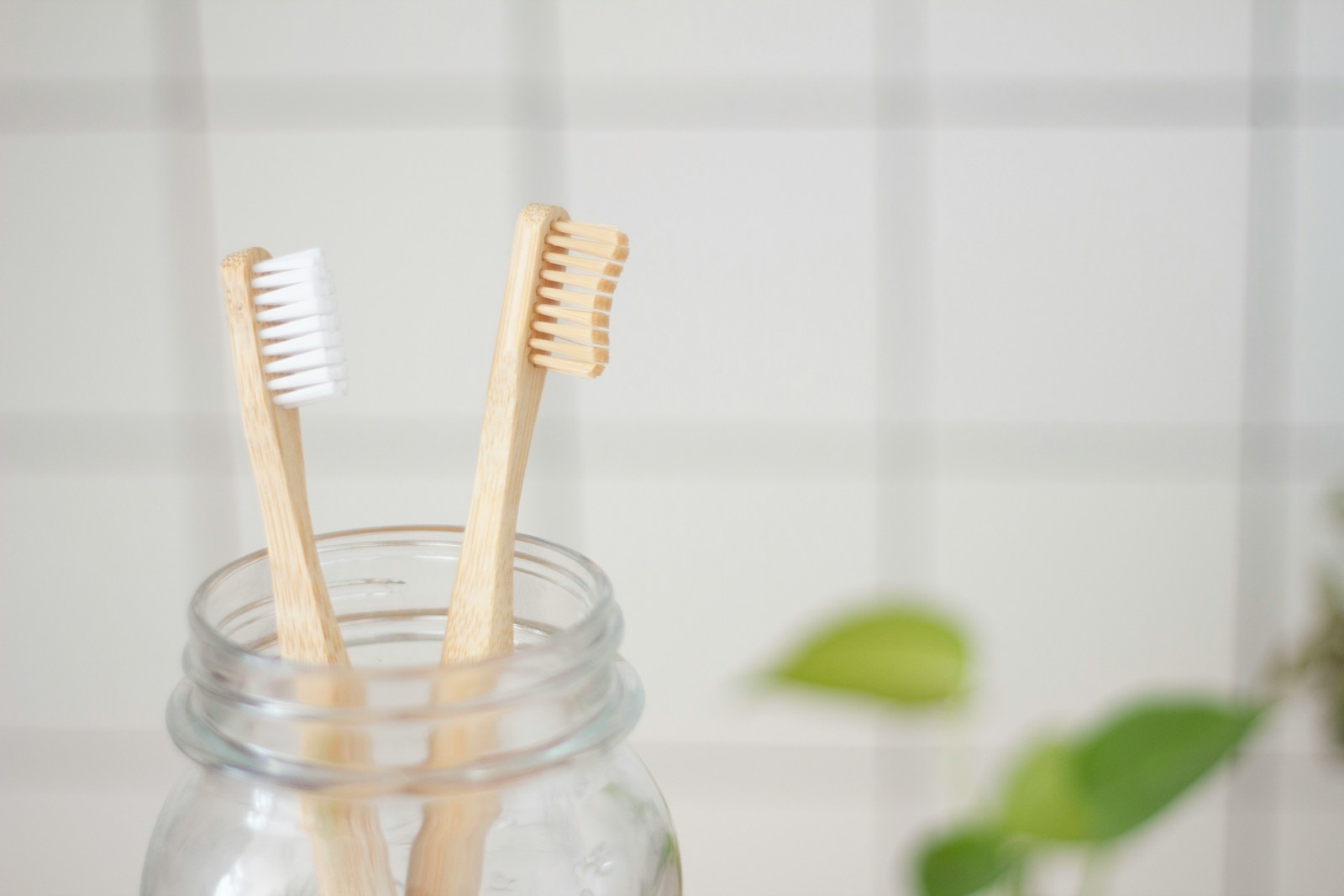 Plastikfrei Zähne putzen - Nachhaltige Zahnpflegeprodukte